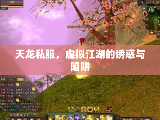 天龙私服，虚拟江湖的诱惑与陷阱