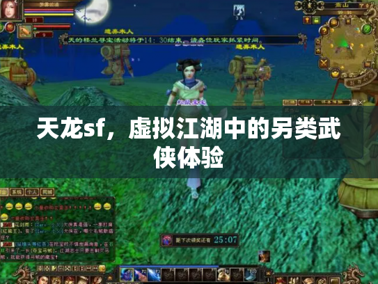 天龙sf，虚拟江湖中的另类武侠体验