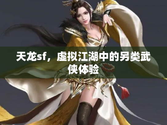 天龙sf，虚拟江湖中的另类武侠体验