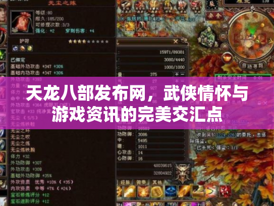 天龙八部发布网，武侠情怀与游戏资讯的完美交汇点