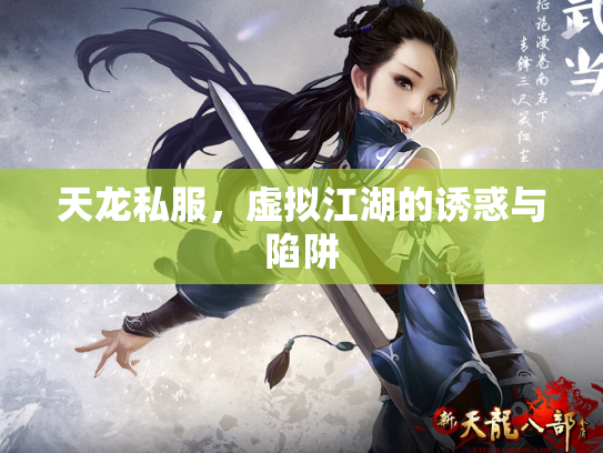 天龙私服，虚拟江湖的诱惑与陷阱