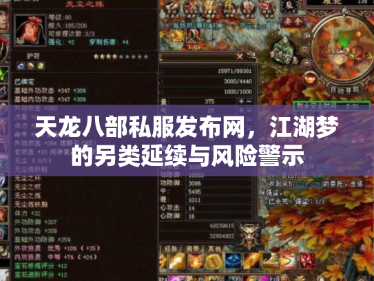 天龙八部私服发布网，江湖梦的另类延续与风险警示