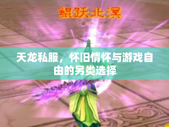 天龙私服，怀旧情怀与游戏自由的另类选择