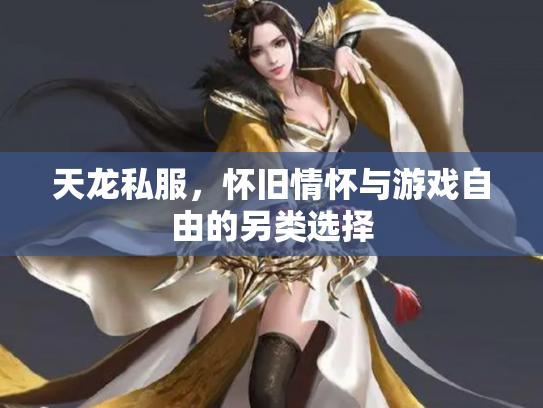 天龙私服，怀旧情怀与游戏自由的另类选择