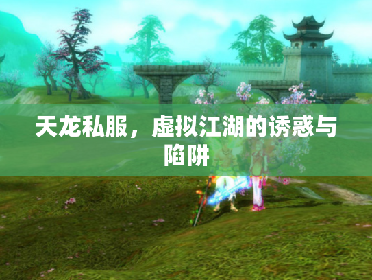 天龙私服，虚拟江湖的诱惑与陷阱