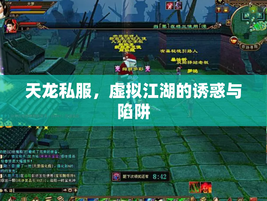 天龙私服，虚拟江湖的诱惑与陷阱