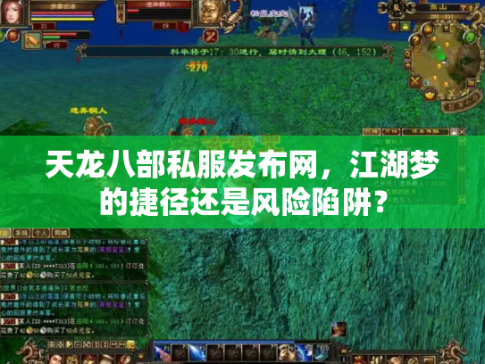 天龙八部私服发布网，江湖梦的捷径还是风险陷阱？