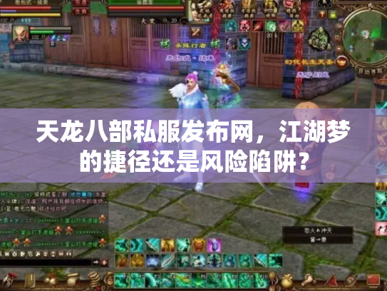 天龙八部私服发布网，江湖梦的捷径还是风险陷阱？