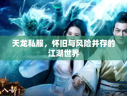 天龙私服，怀旧与风险并存的江湖世界