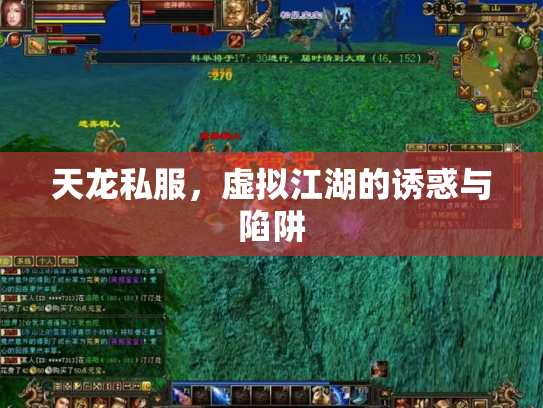 天龙私服，虚拟江湖的诱惑与陷阱