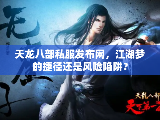 天龙八部私服发布网，江湖梦的捷径还是风险陷阱？