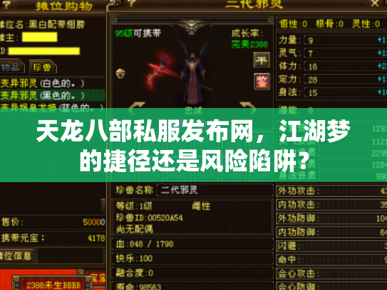 天龙八部私服发布网，江湖梦的捷径还是风险陷阱？