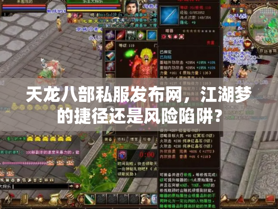 天龙八部私服发布网，江湖梦的捷径还是风险陷阱？