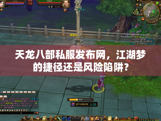 天龙八部私服发布网，江湖梦的捷径还是风险陷阱？