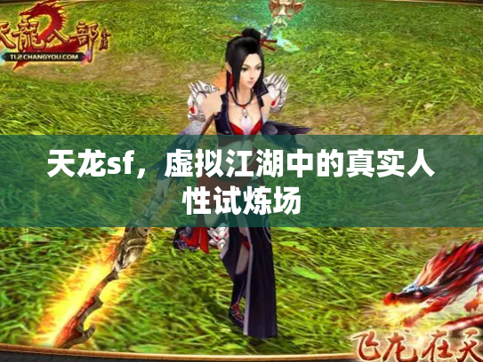 天龙sf，虚拟江湖中的真实人性试炼场