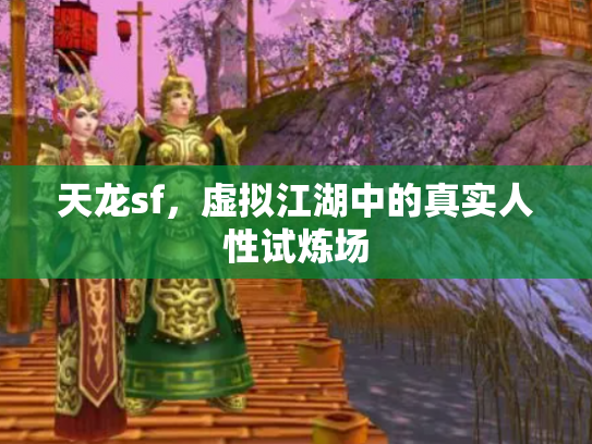 天龙sf，虚拟江湖中的真实人性试炼场