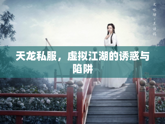 天龙私服，虚拟江湖的诱惑与陷阱