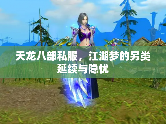 天龙八部私服，江湖梦的另类延续与隐忧