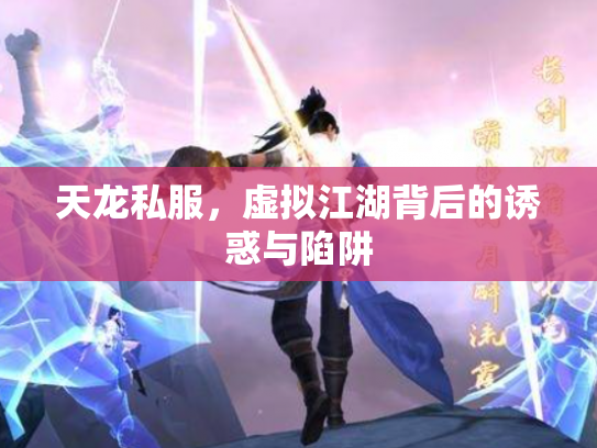 天龙私服，虚拟江湖背后的诱惑与陷阱