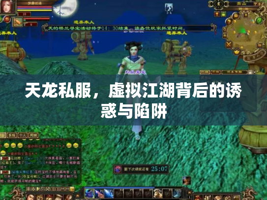 天龙私服，虚拟江湖背后的诱惑与陷阱
