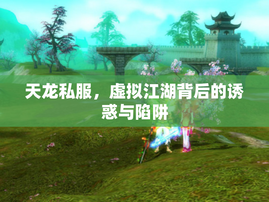 天龙私服，虚拟江湖背后的诱惑与陷阱