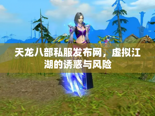 天龙八部私服发布网，虚拟江湖的诱惑与风险