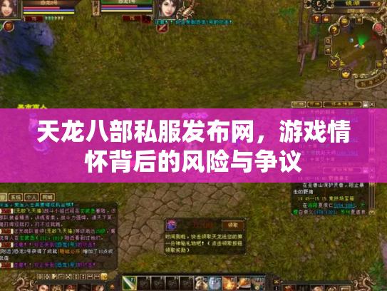 天龙八部私服发布网，游戏情怀背后的风险与争议