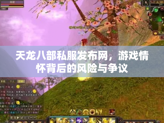 天龙八部私服发布网，游戏情怀背后的风险与争议