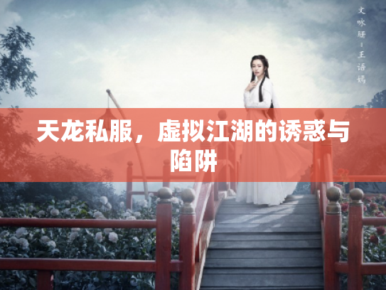 天龙私服，虚拟江湖的诱惑与陷阱