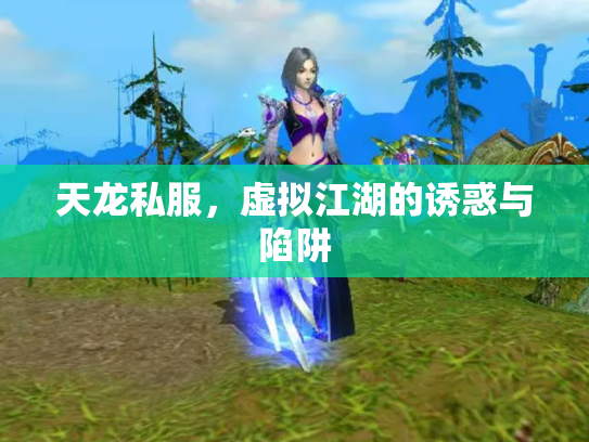 天龙私服，虚拟江湖的诱惑与陷阱