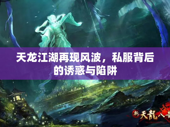 天龙江湖再现风波，私服背后的诱惑与陷阱