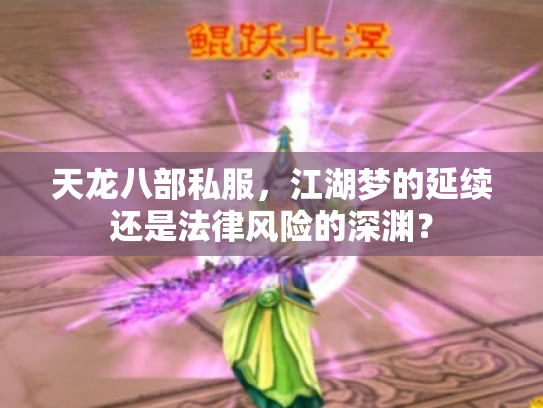 天龙八部私服，江湖梦的延续还是法律风险的深渊？