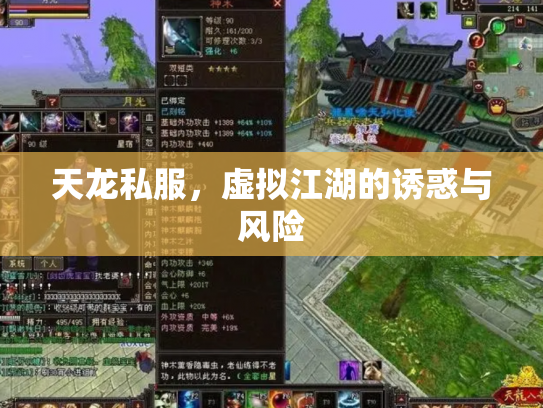 天龙私服，虚拟江湖的诱惑与风险