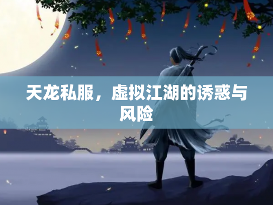 天龙私服，虚拟江湖的诱惑与风险
