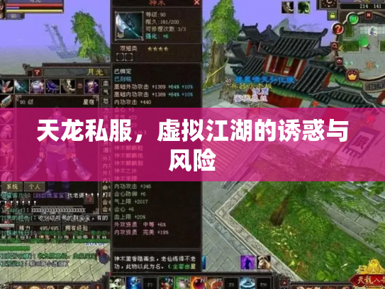 天龙私服，虚拟江湖的诱惑与风险