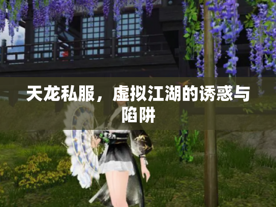 天龙私服，虚拟江湖的诱惑与陷阱
