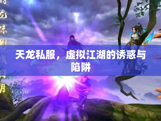 天龙私服，虚拟江湖的诱惑与陷阱
