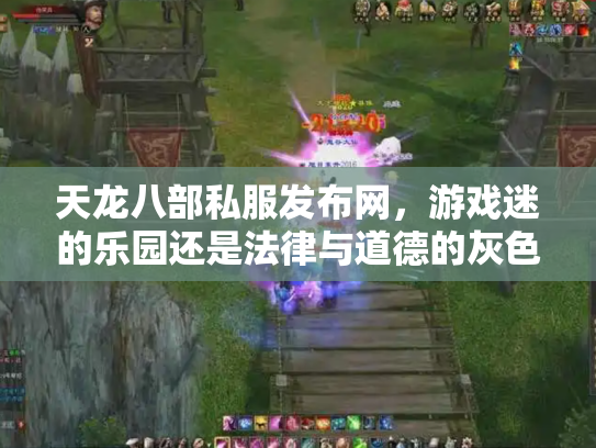 天龙八部私服发布网，游戏迷的乐园还是法律与道德的灰色地带？