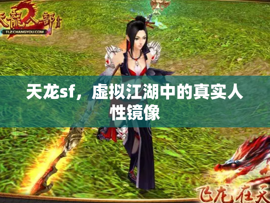 天龙sf，虚拟江湖中的真实人性镜像