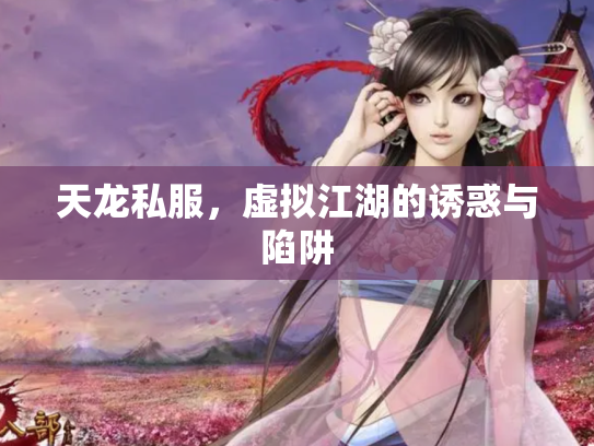 天龙私服，虚拟江湖的诱惑与陷阱