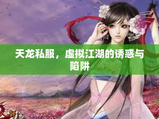 天龙私服，虚拟江湖的诱惑与陷阱