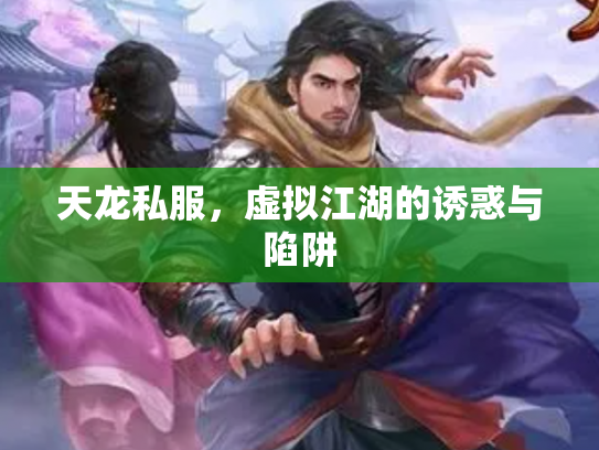 天龙私服，虚拟江湖的诱惑与陷阱