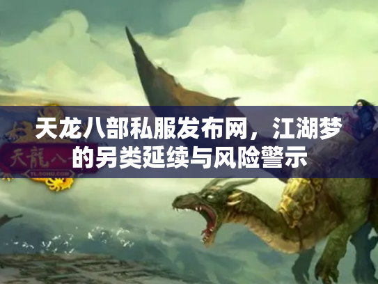 天龙八部私服发布网，江湖梦的另类延续与风险警示