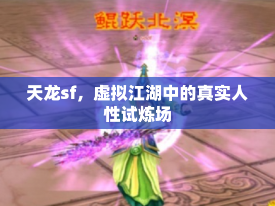天龙sf，虚拟江湖中的真实人性试炼场