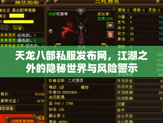 天龙八部私服发布网，江湖之外的隐秘世界与风险警示