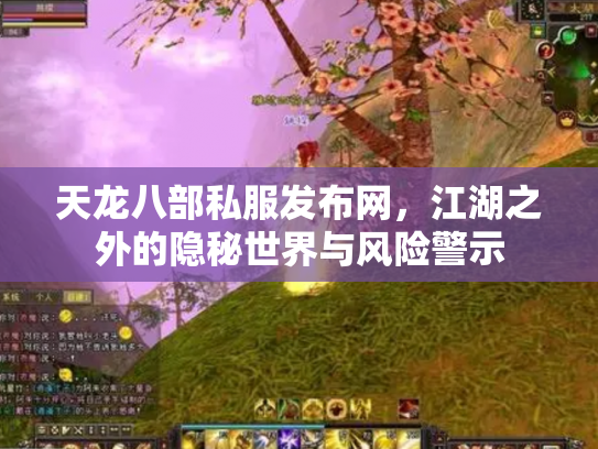 天龙八部私服发布网，江湖之外的隐秘世界与风险警示