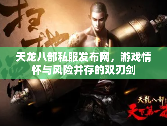 天龙八部私服发布网，游戏情怀与风险并存的双刃剑