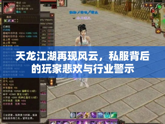 天龙江湖再现风云，私服背后的玩家悲欢与行业警示