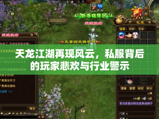 天龙江湖再现风云，私服背后的玩家悲欢与行业警示