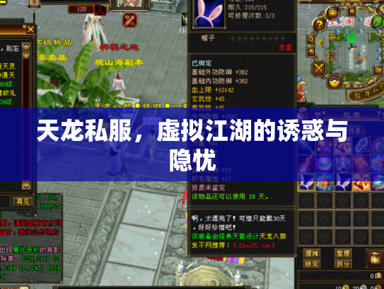 天龙私服，虚拟江湖的诱惑与隐忧
